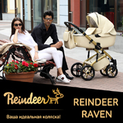 Детские универсальные польские коляски Reindeer Raven